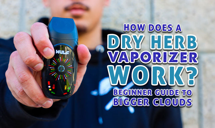 ¿Cómo funciona un vaporizador de hierbas secas? (Guía para principiantes para nubes más grandes)
